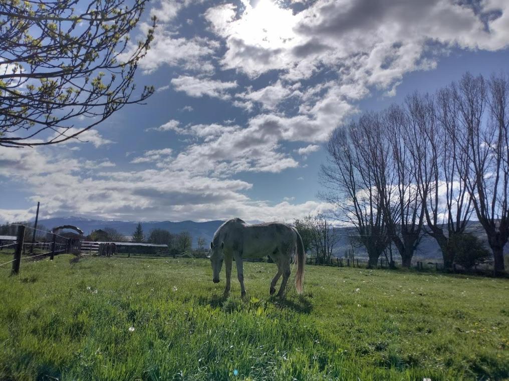 Ca L'Andreu Villa Ventola ภายนอก รูปภาพ