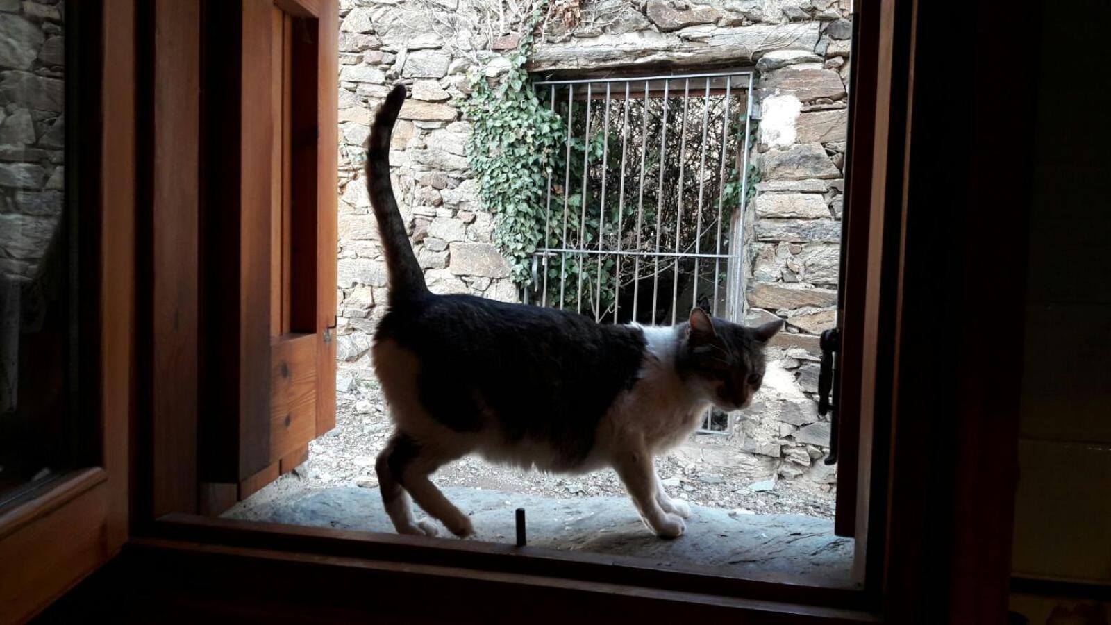 Ca L'Andreu Villa Ventola ภายนอก รูปภาพ